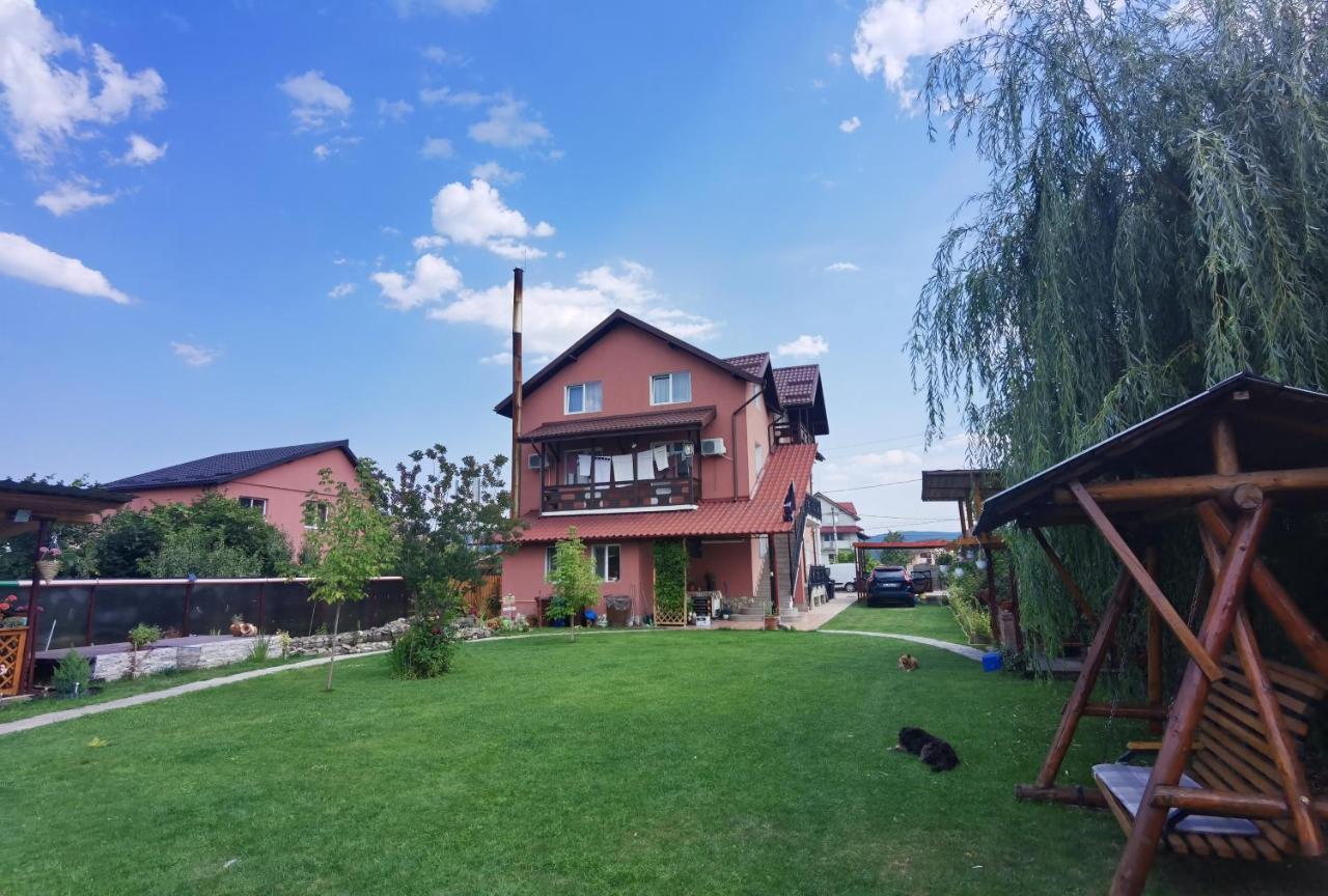 Casa Reds Villa Râmnicu Vâlcea Dış mekan fotoğraf