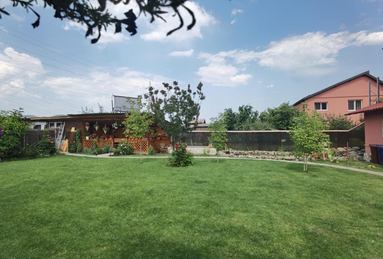 Casa Reds Villa Râmnicu Vâlcea Dış mekan fotoğraf