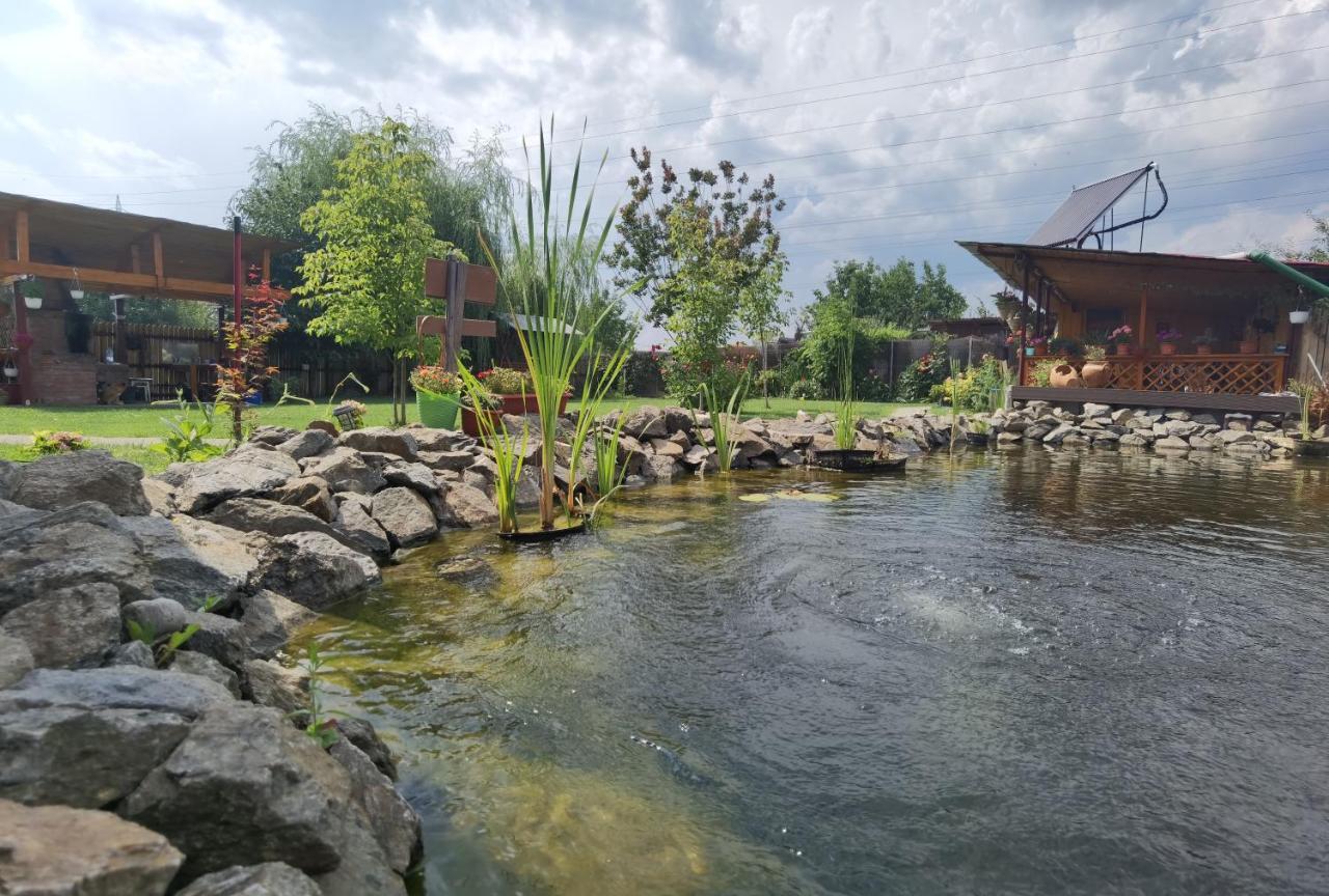 Casa Reds Villa Râmnicu Vâlcea Dış mekan fotoğraf