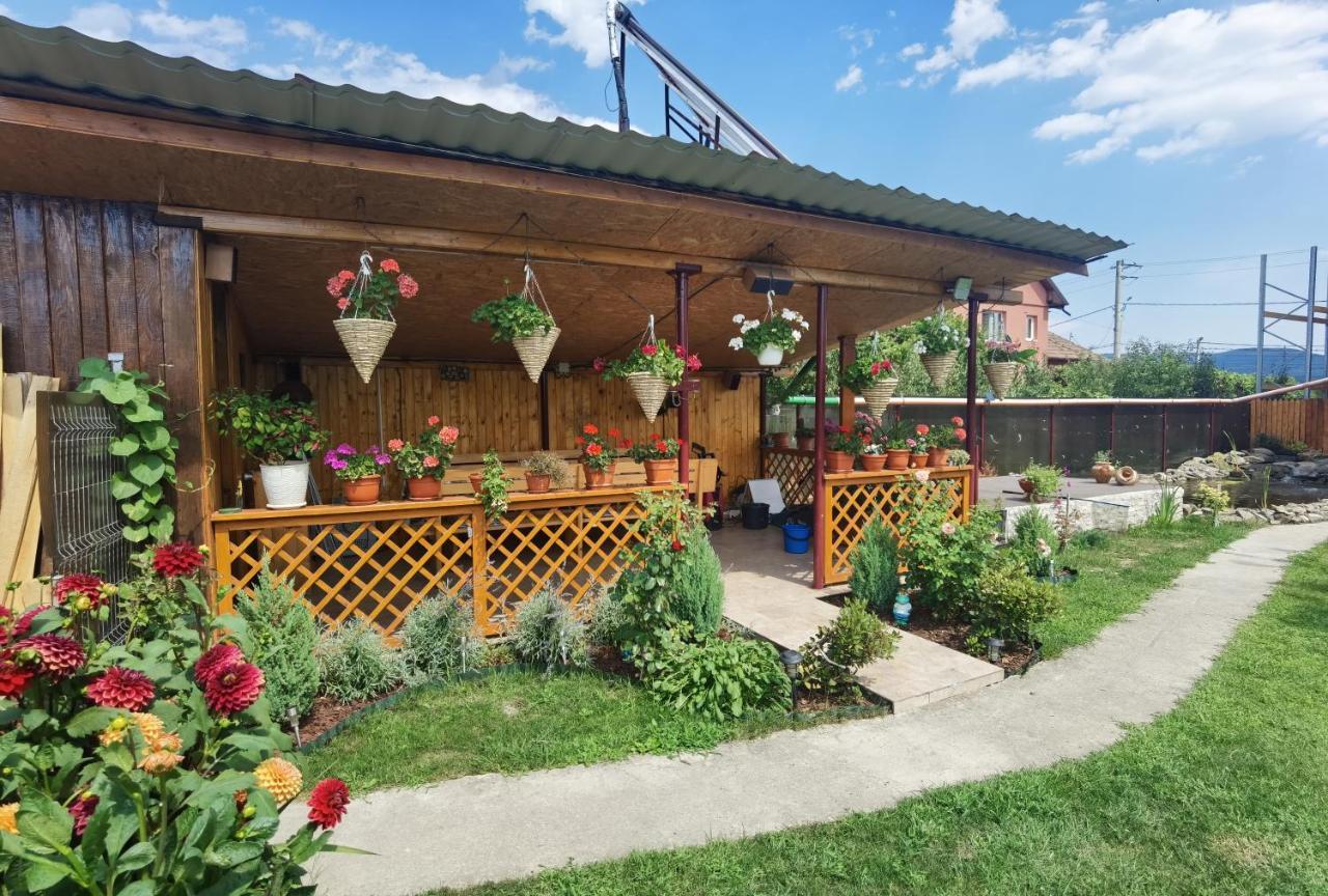 Casa Reds Villa Râmnicu Vâlcea Dış mekan fotoğraf