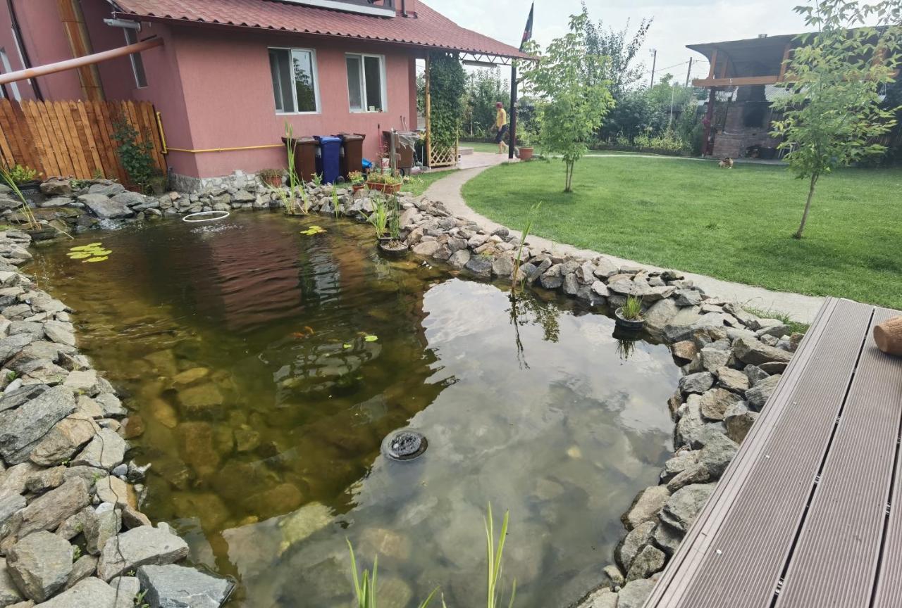 Casa Reds Villa Râmnicu Vâlcea Dış mekan fotoğraf