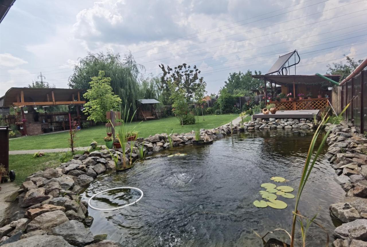 Casa Reds Villa Râmnicu Vâlcea Dış mekan fotoğraf