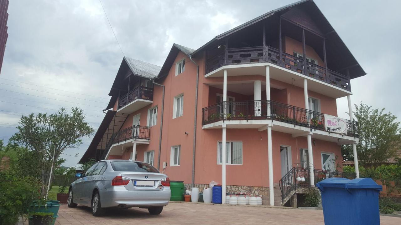 Casa Reds Villa Râmnicu Vâlcea Dış mekan fotoğraf